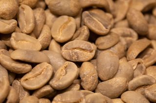 caffè TOSTATO FRESCO Santo Domingo Barahona AA 250 grammi