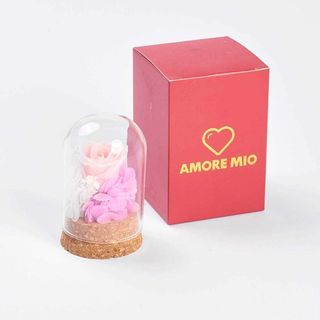 Cupula con rosa eterna (rosa)