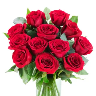 12 Rose Rosse 