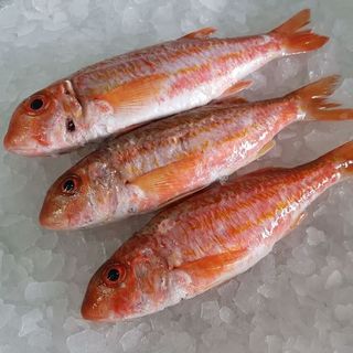 Salmonete Mediterráneo (500 g.)