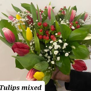 Mixed Tulips bouque