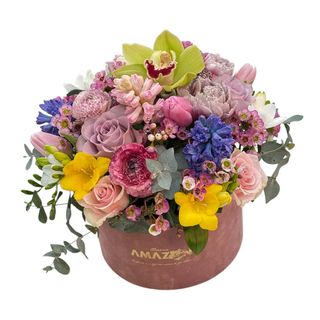 Cutie de Primavara Imperiala.