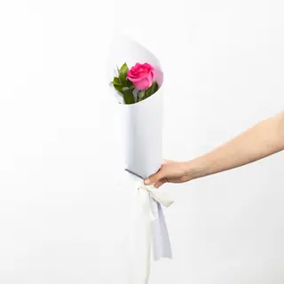 Single Rose
