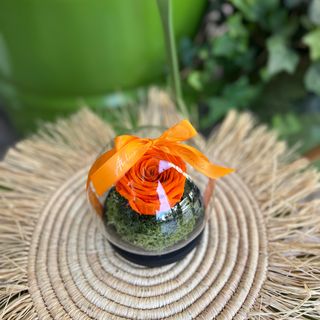 Cloche rose éternelle Orange 