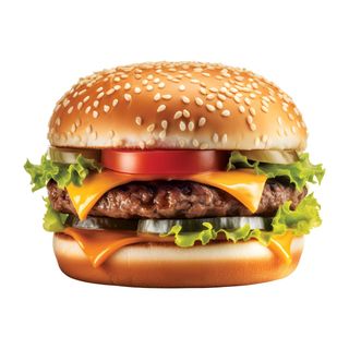 Burger sa sirom 250g