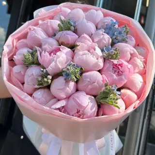 31 півонія з оксіпеталумом