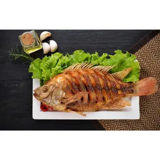 Tilapia