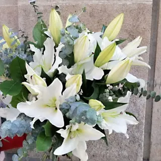 Ramo pura elegancia