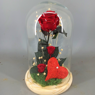 Cúpula rosa preservada