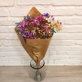 Paniculata De Colores