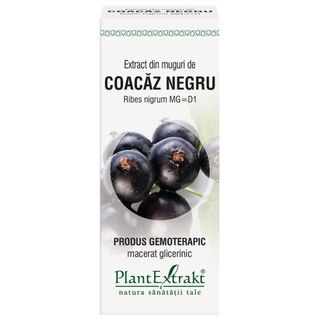 Extract din muguri de coacaz negru (RIBES NIGRUM)