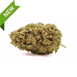 Florde Cbd Amnesia Haze Naturwest Bolsa 3 Gr.