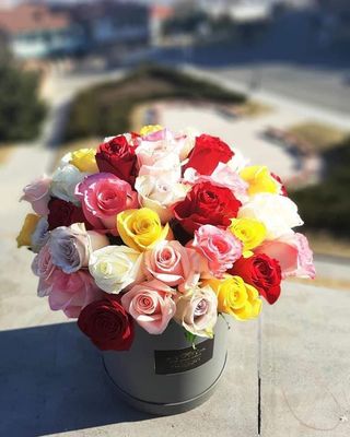 თაიგული 31