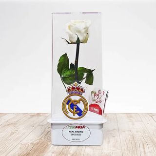 Rosa Eterna R. MADRID 1,52