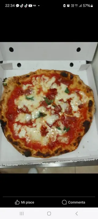 Margherita singola