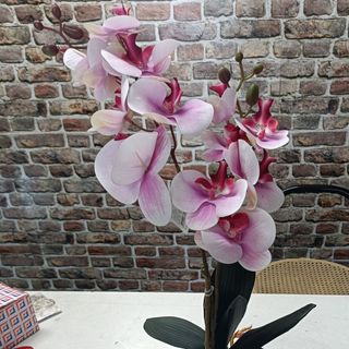 Orchidea a 2 steli artificiale 