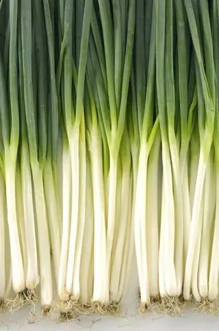 CEAPA VERDE VRAC (100g)