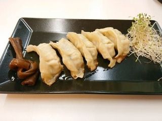 Duck gyoza (5szt)
