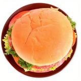 Hamburguesa De Pollo Simple Grande