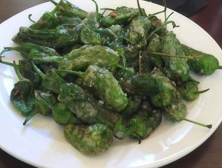 Pimientos padrón fritos