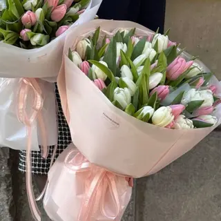 FRENCH KISS - 51 Tulipanes