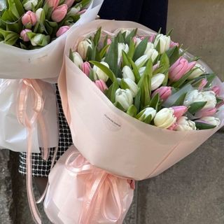 FRENCH KISS - 51 Tulipanes