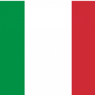 Pizza Panna E Salmone (33 Cm.)