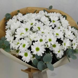 Ramo De Margaritas Blancas