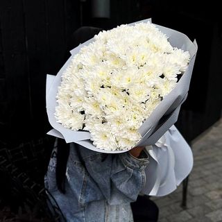 15 білих хризантем балтика в упакуванні  кафін №51