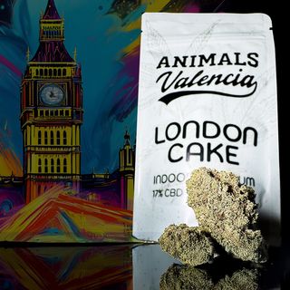 10Gr London Cake Indoor CBD
