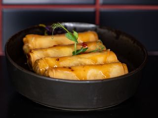 Spring gambero 4 pezzi