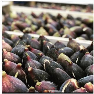 Fichi Origine Italia