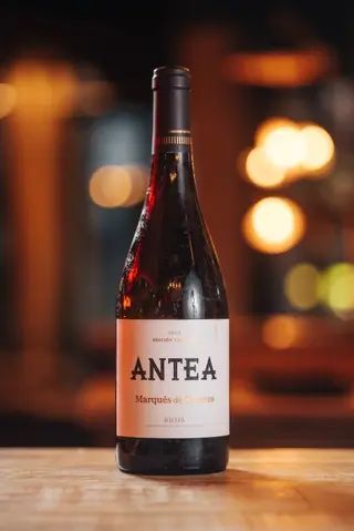 Antea