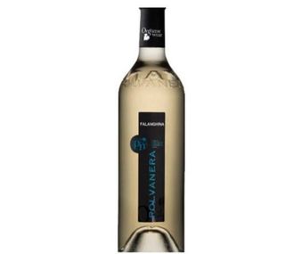 Falanghina LGT