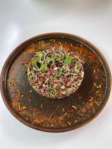Quinoa Aux Légumes Croquants