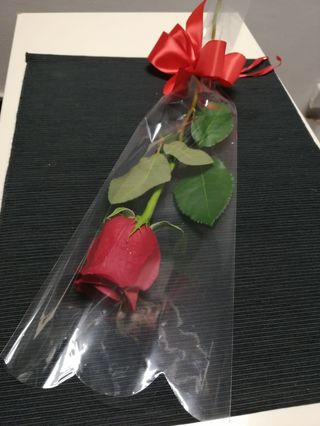 Ruža u celofanu