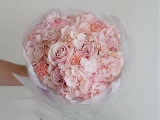 Blush S size