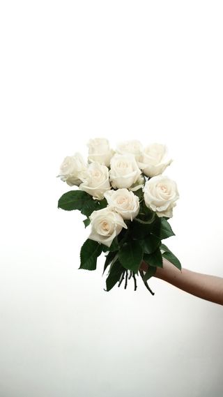 Róże ekwadorskie kremowe 5 szt.