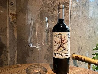 Monastrell,Gil Family Estates Intruso JUMILLA,ІСПАНІЯ (750 мл)