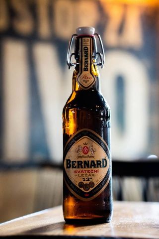 Bernard Celebration Lager 500ml