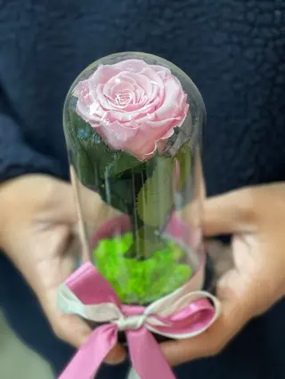 Crio Pink Rose