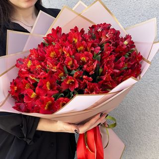 30 წითელი ალსტრომერია 2020