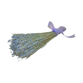 Lavanda Alfazema