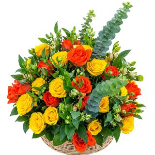 Sunset Citrus Rose + Free Basket