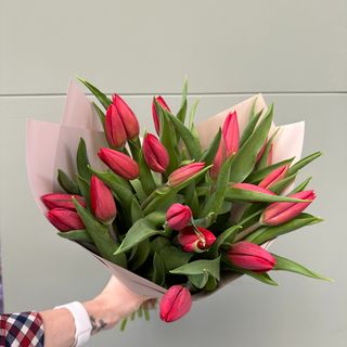 20 Tulipanes Rojos