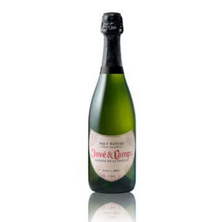 Juve & Camps Reserva de Familia 0,75 cl