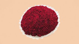 501 წითელი ჰოლანდიურივარდი ( მხოლოდ წინასწარი ჯავშნით)