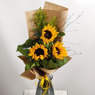 სამი მზე 2207