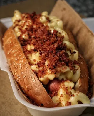 Cachorro Latino