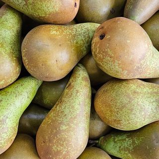 Pere conferenze al kg 